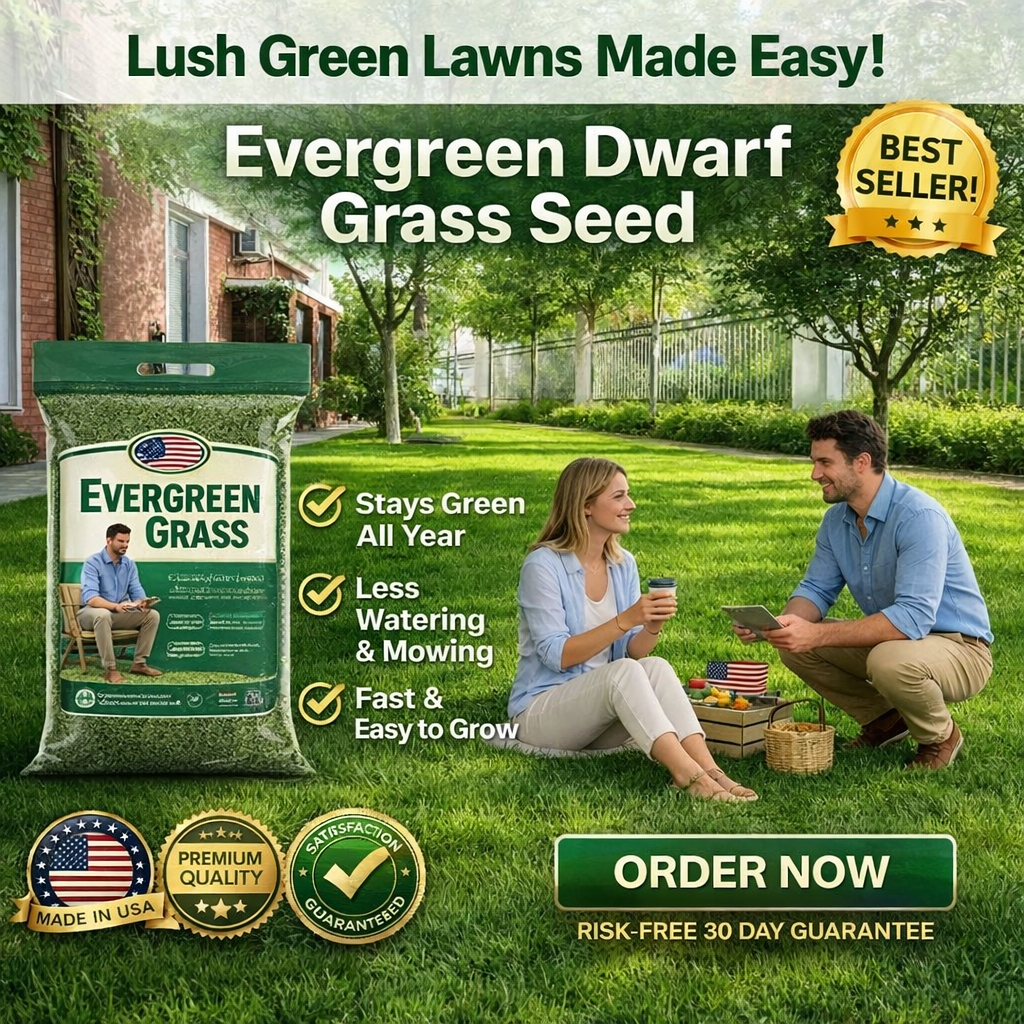 /69ddc63eba1201000ac95056/2026/04/16/product-img-69e11e04373c02bd69cc07bc.png